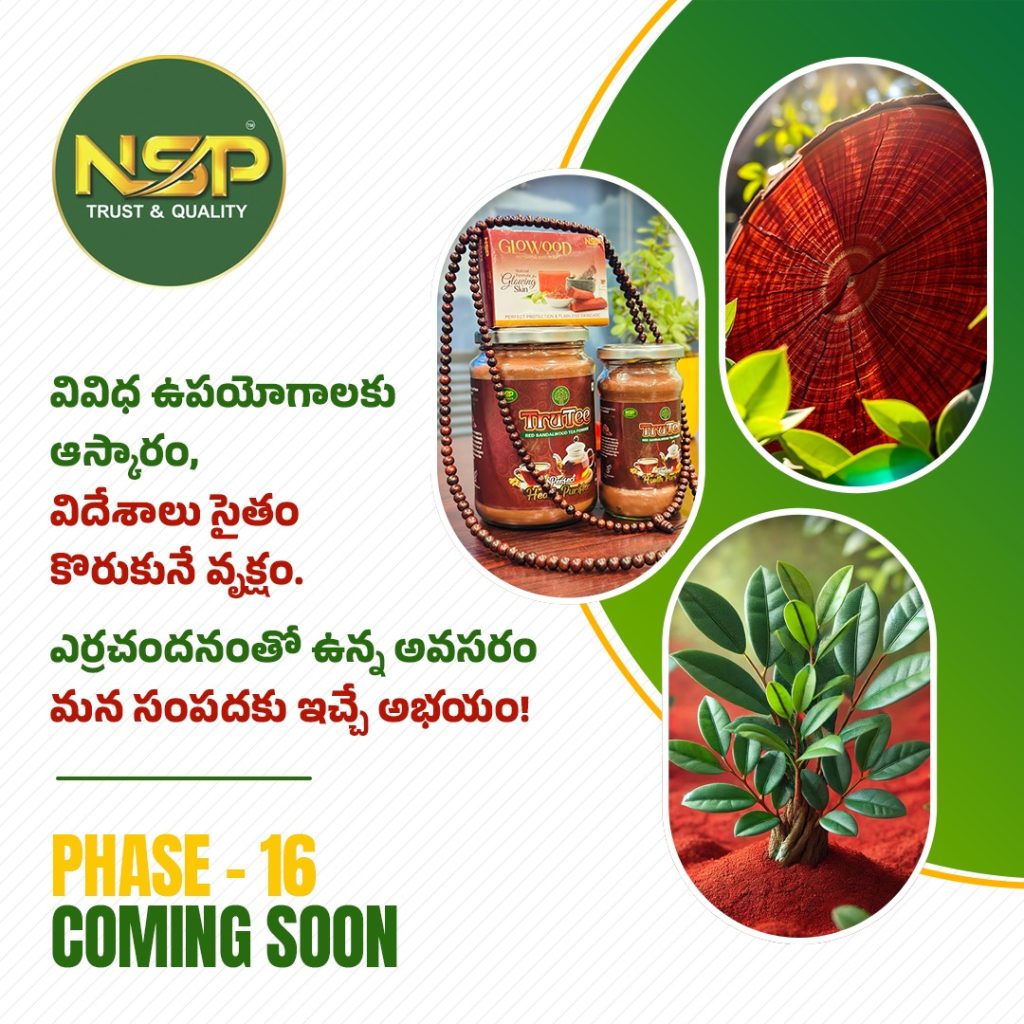 navya sai projects phase 16 tegacherla