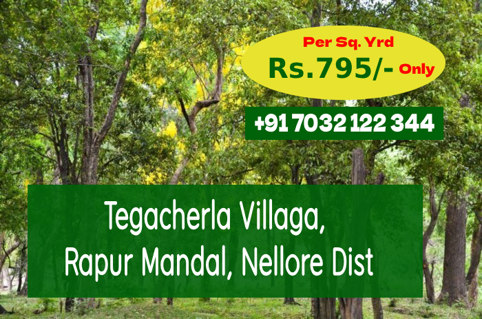 phase 16 tegacherla village